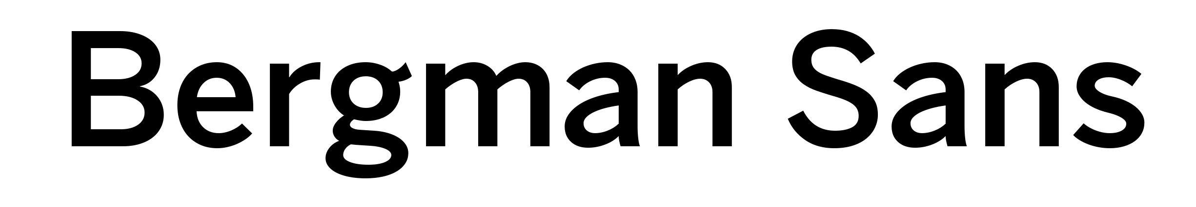 Bergman Sans